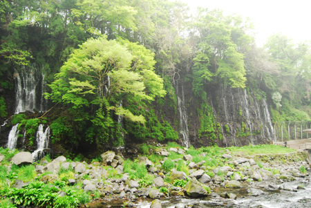 d0113613_16275998.jpg