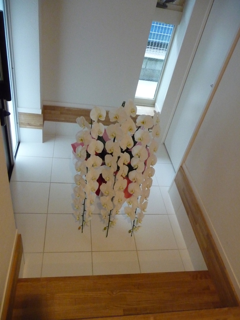 b0087914_1051698.jpg