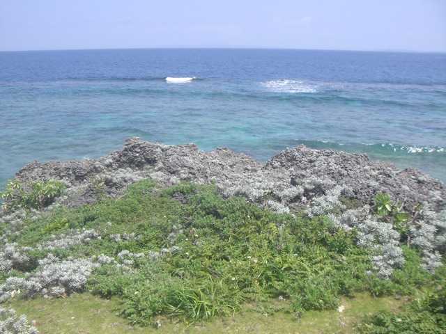 b0181015_15144764.jpg