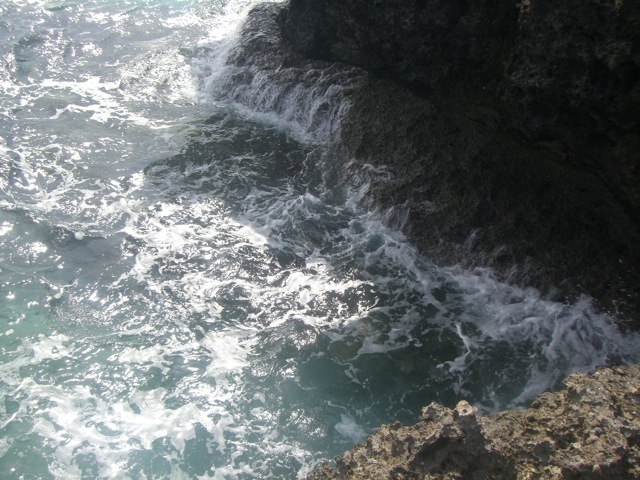 b0181015_15194836.jpg