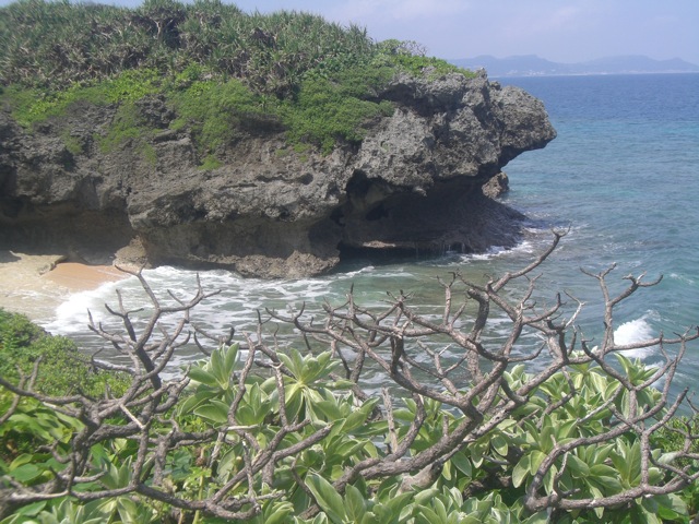 b0181015_15322722.jpg
