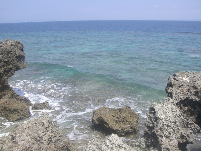 b0181015_1562448.jpg