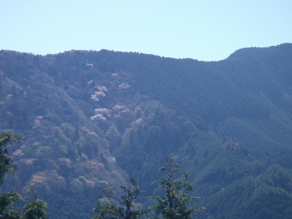 e0171018_1741761.jpg