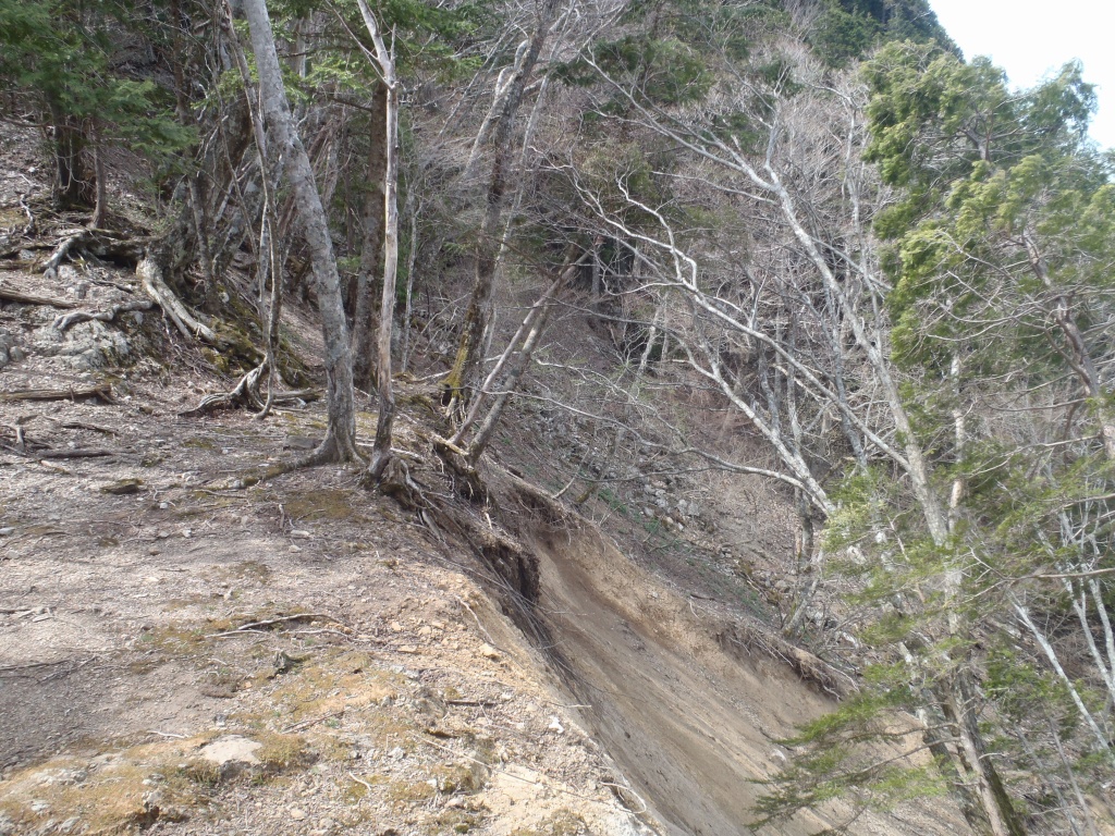 e0171018_1750054.jpg