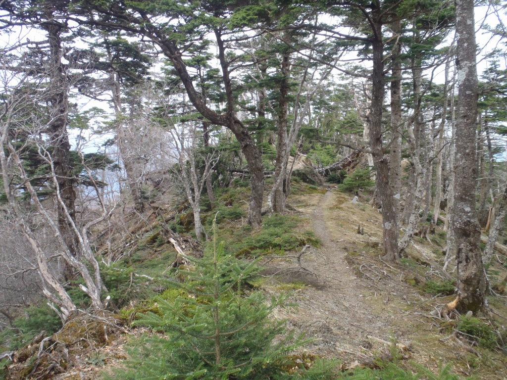 e0171018_17574552.jpg