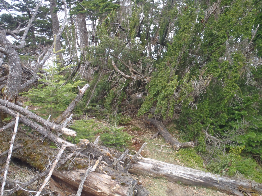 e0171018_17575539.jpg