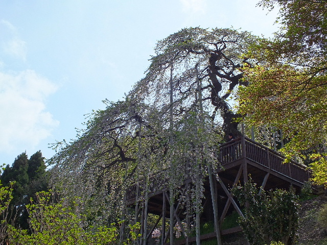 c0141223_21225110.jpg