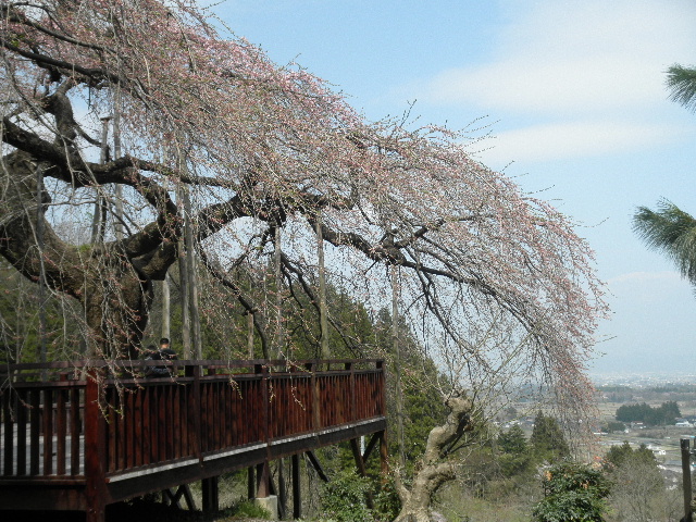 c0141223_21274724.jpg