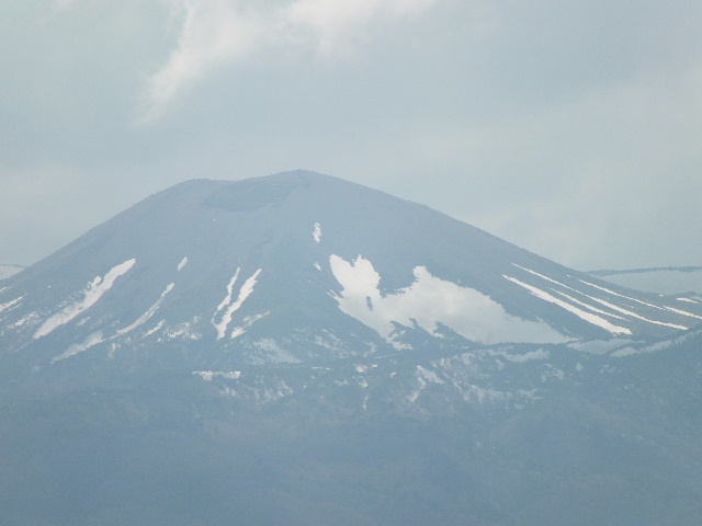 種まき桜と種まきうさぎ_c0141223_2130146.jpg