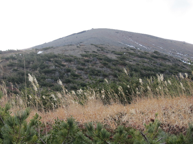 c0141223_21332510.jpg
