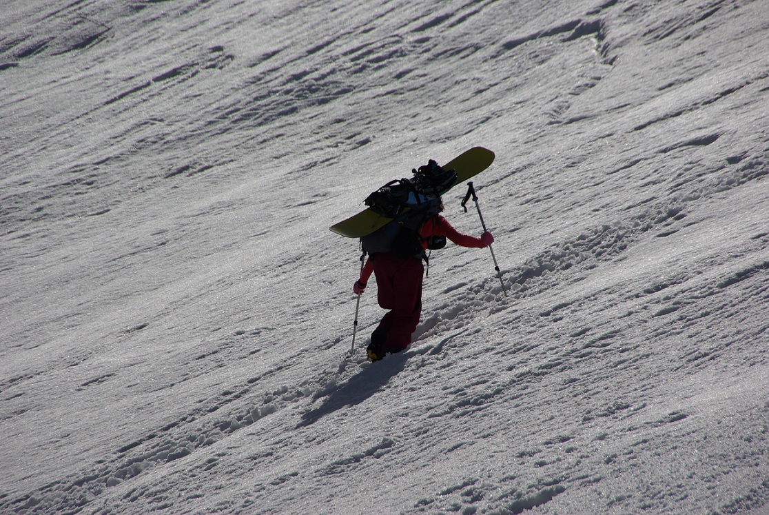 b0062024_87623.jpg