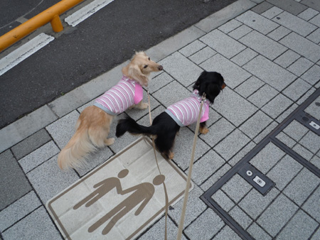 c0117831_21585258.jpg