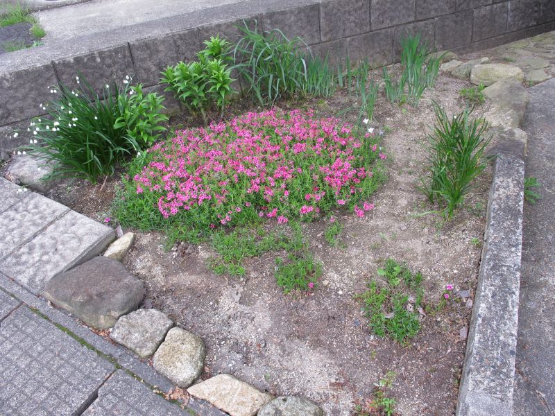 ゴールデンウイークはBRZで朝から大盛況_f0076731_19324614.jpg