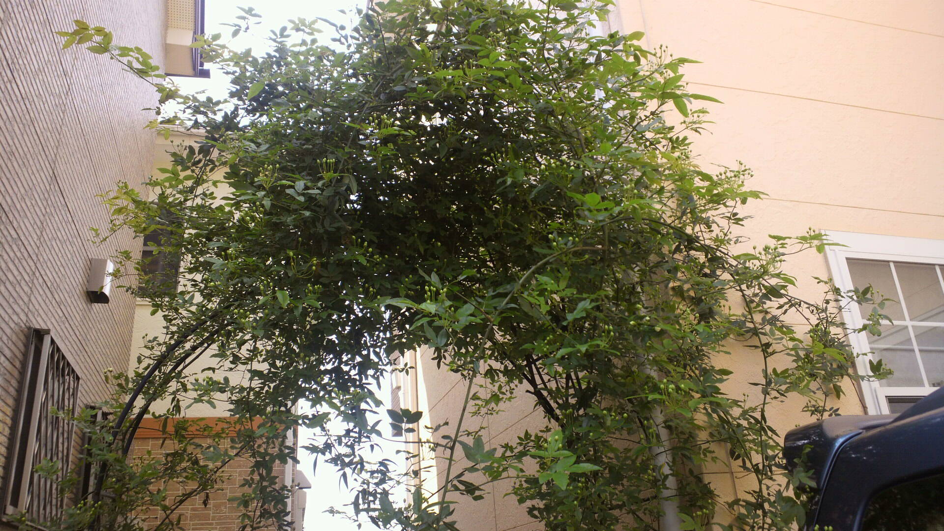 d0169933_10424736.jpg