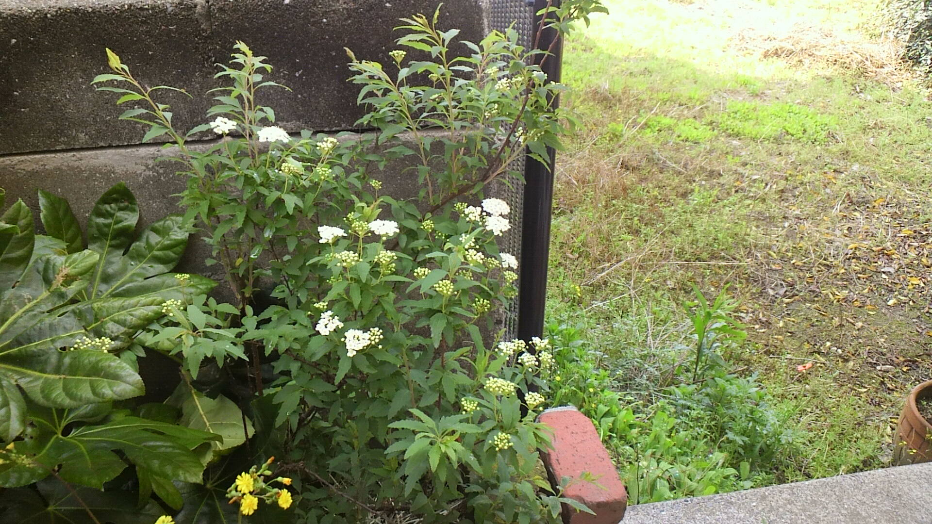 d0169933_10424786.jpg
