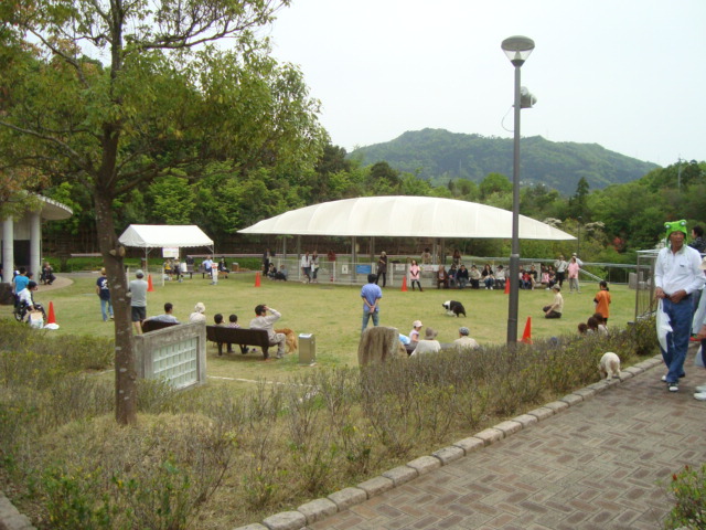 e0060041_6242750.jpg