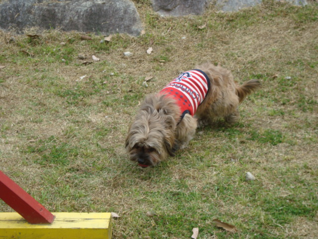 e0060041_625372.jpg