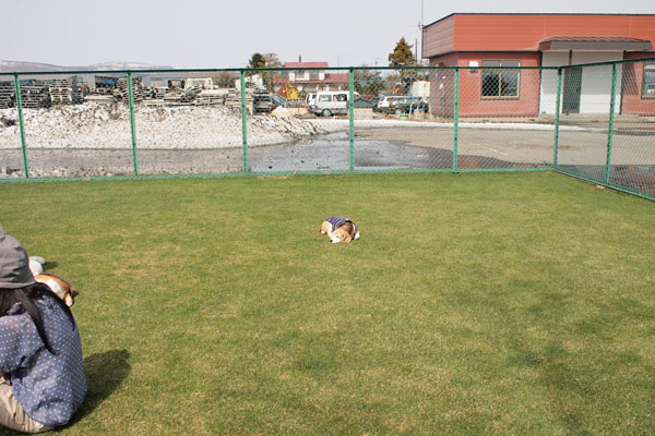 a0042044_0221335.jpg