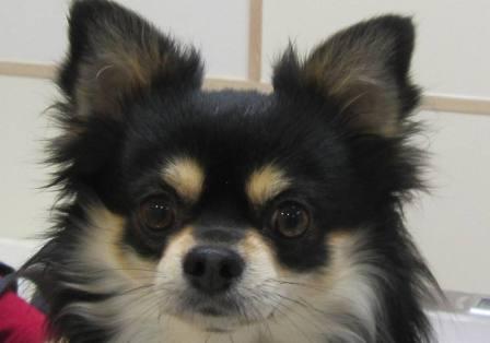5月 2日の写真_c0174644_11453145.jpg