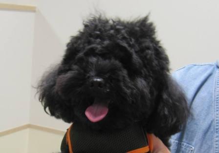 5月 2日の写真_c0174644_12132323.jpg