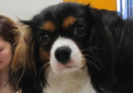 5月 2日の写真_c0174644_1213674.jpg