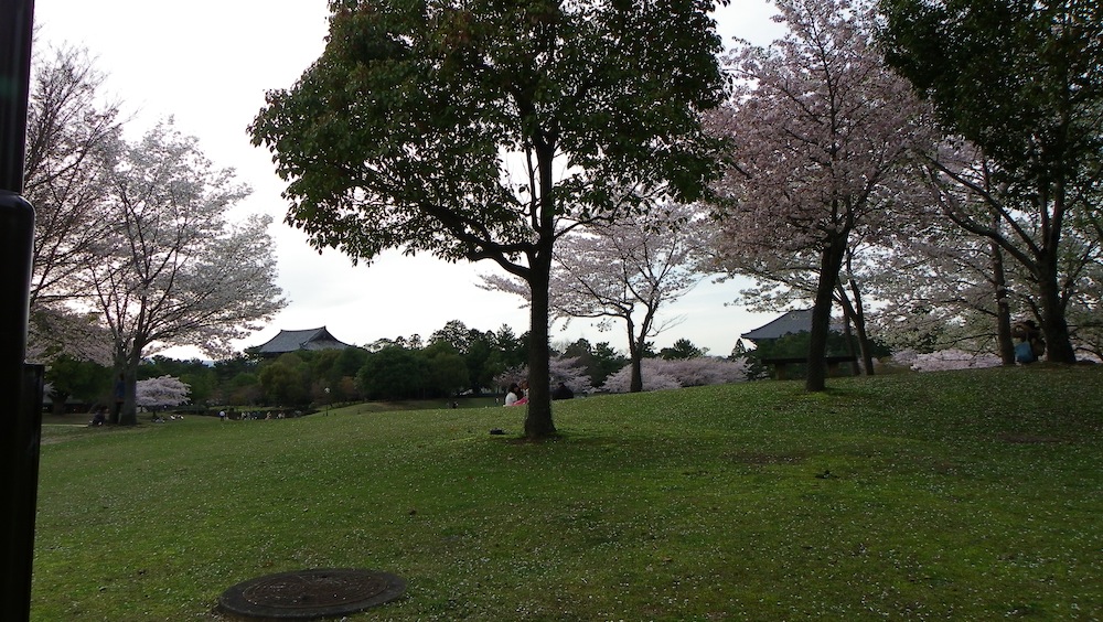 d0027244_10354852.jpg