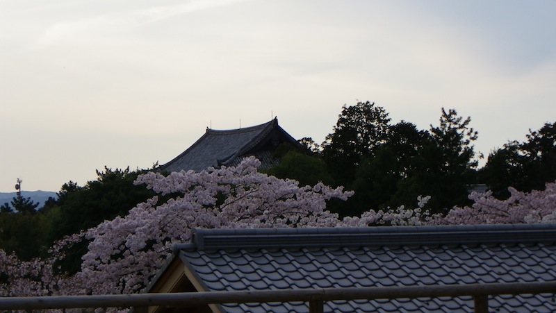 d0027244_1038029.jpg
