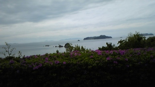 c0134645_11382514.jpg