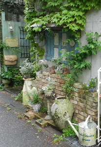 e0172950_20351120.jpg