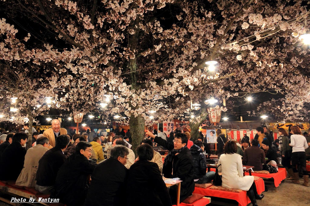 京都の旅　　　　2012－05－03　更新_e0229455_283070.jpg