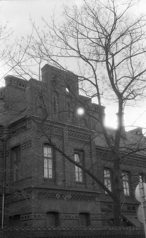 e0134658_22575249.jpg