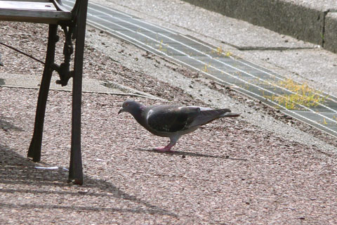 a0083760_16185426.jpg