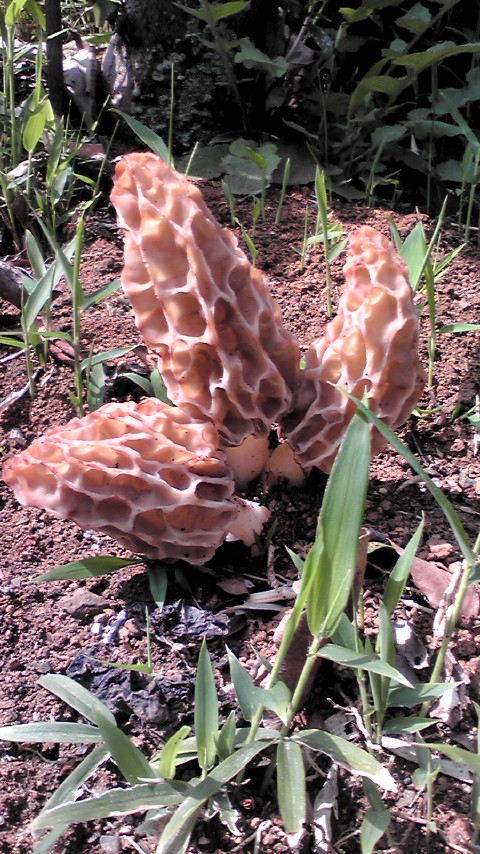 a0244265_2036301.jpg
