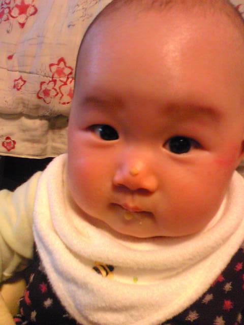 a0180468_13185061.jpg