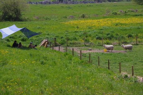 d0157269_881966.jpg