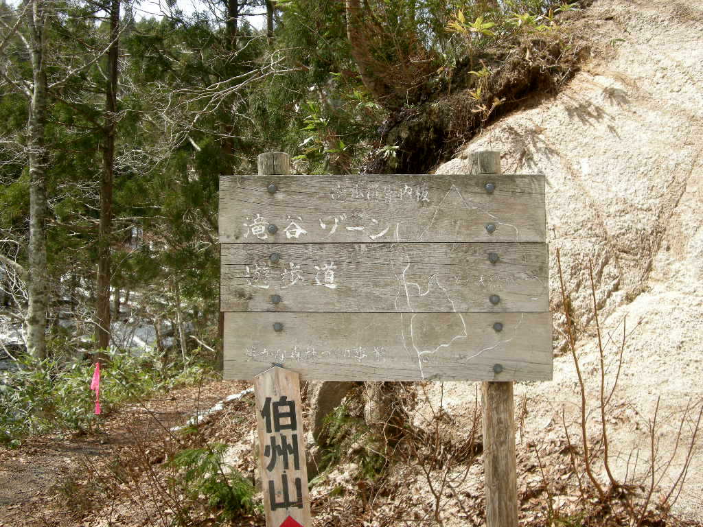 No210 鈴鹿・御池岳が岡山・伯州山に変更　イワウチワは咲き始め_b0185573_222684.jpg