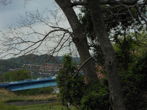 b0242873_11460.jpg