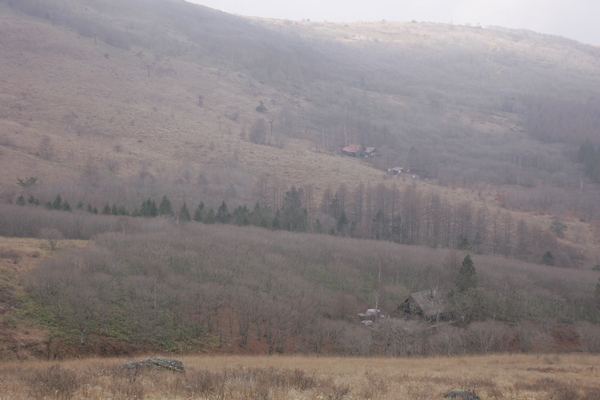 f0235376_20422878.jpg