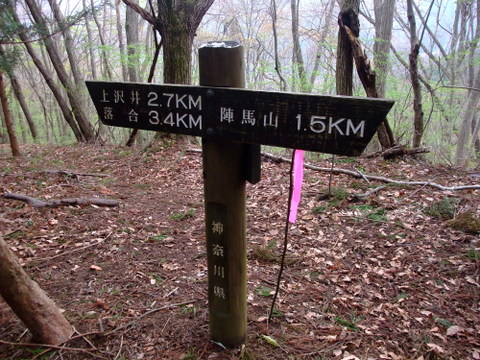 春の陣馬山　〜4月22日(日)〜　その①_a0043982_18425163.jpg