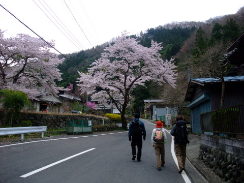 春の陣馬山　〜4月22日(日)〜　その①_a0043982_18485559.jpg