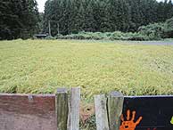 d0247484_19241314.jpg