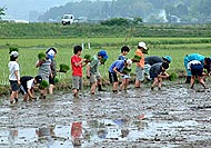田植え体験(緑が丘小・北郷小)_d0247484_21152848.jpg