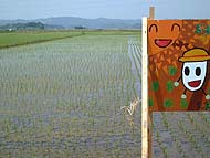 田植え体験(緑が丘小・北郷小)_d0247484_21181712.jpg