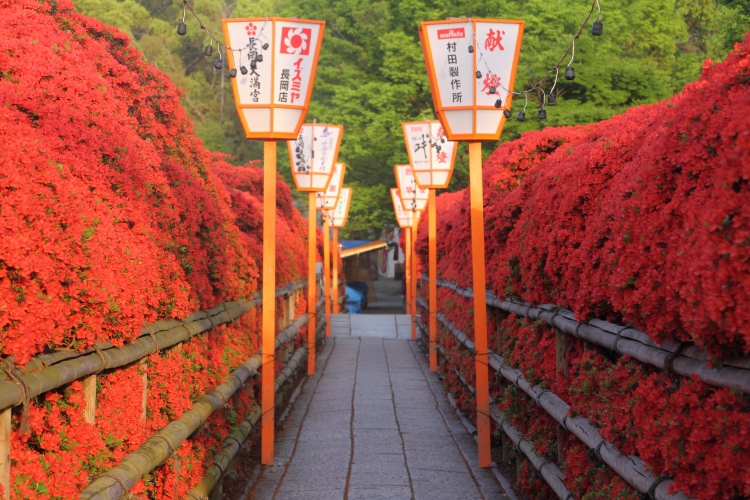 長岡天満宮_e0051888_6283587.jpg