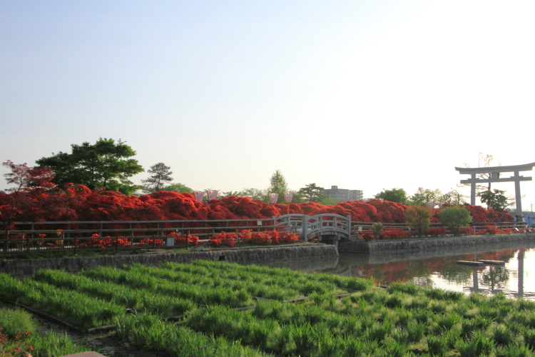 長岡天満宮_e0051888_630476.jpg