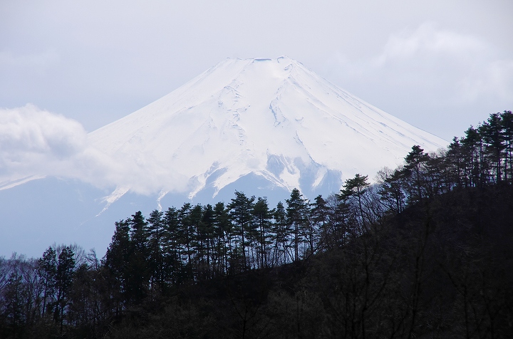 高川山_f0012488_03240.jpg