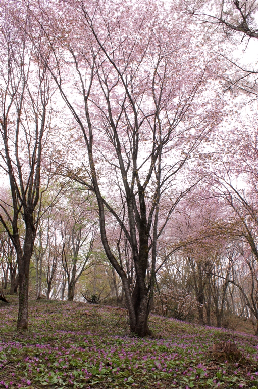 f0174989_02217.jpg