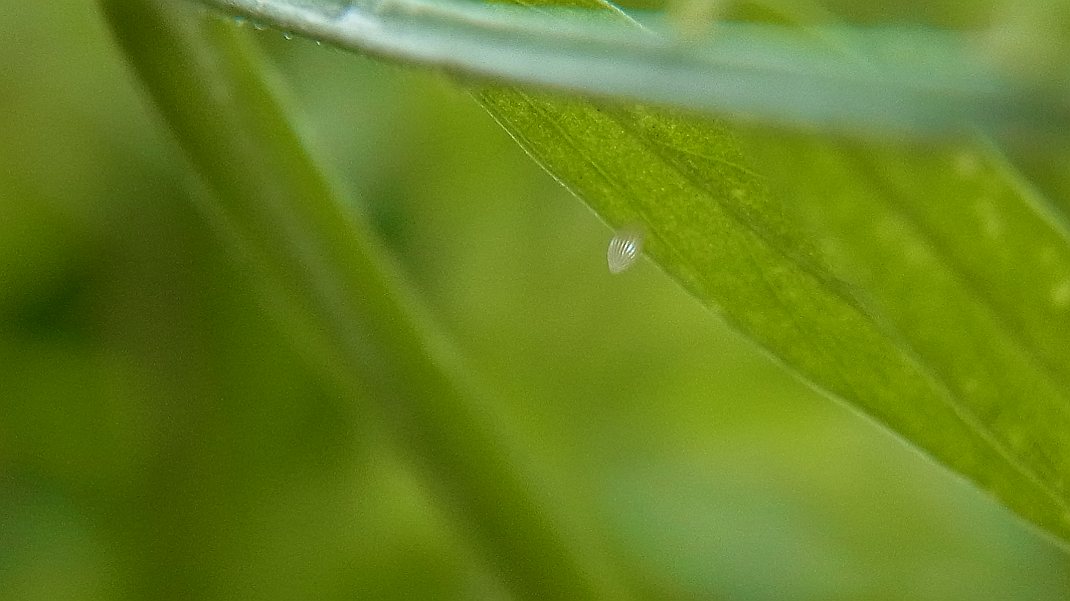 a0152692_17502345.jpg