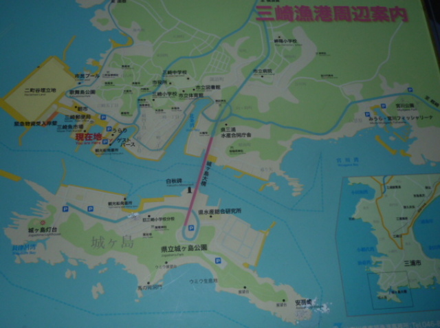 f0166694_21533517.jpg