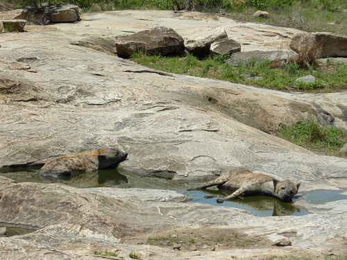 b0199497_654041.jpg